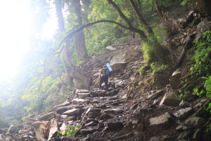 Anish bhaiya on the trek route through forest.